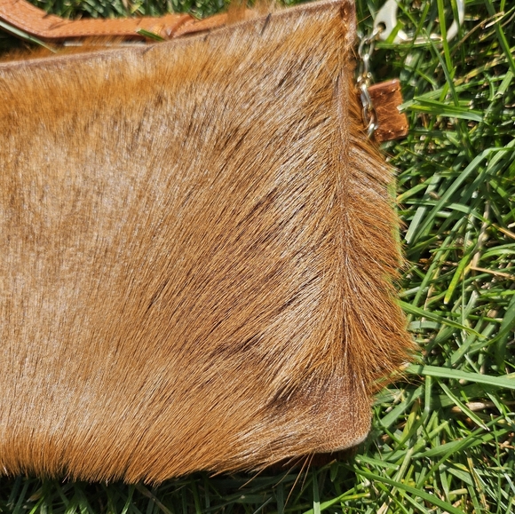 Clutch - Picture 5 of 6